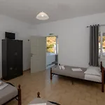 Prasini Gonia 3*